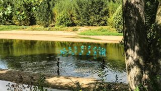 Green Justice : quand la nature porte plainte