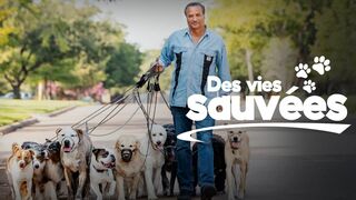 Des vies sauvées