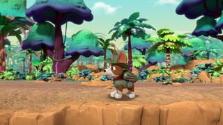 Paw Patrol, la Pat'Patrouille - SAISON 10