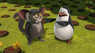 Le Pingouinou / Savio s'est échappé