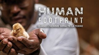 Human footprint
