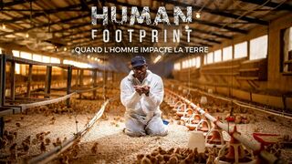 Human footprint