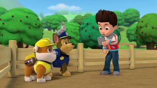 Paw Patrol, la Pat'Patrouille - SAISON 1