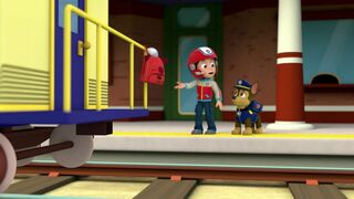 Paw Patrol, la Pat'Patrouille - SAISON 1