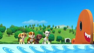 Paw Patrol, la Pat'Patrouille - SAISON 1