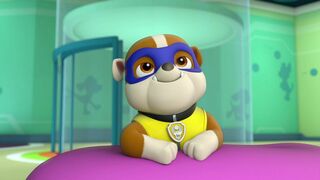 Paw Patrol, la Pat'Patrouille - SAISON 1