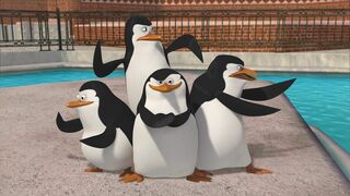 Les Pingouins de Madagascar - SAISON 2
