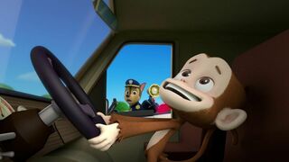 Paw Patrol, la Pat'Patrouille - SAISON 1
