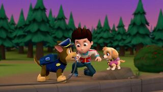 Paw Patrol, la Pat'Patrouille - SAISON 1