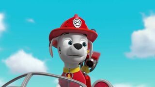 Paw Patrol, la Pat'Patrouille - SAISON 9