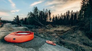 Québec : cris et silences de la forêt