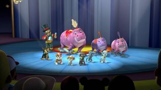 Super-Ruben / Le mambo des Hippos