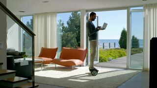 Comme chiens et chats