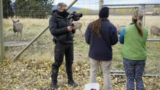 Vétérinaires de l'Arctique