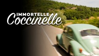 Immortelle Coccinelle