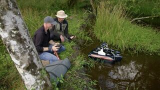 Nature : le retour du sauvage