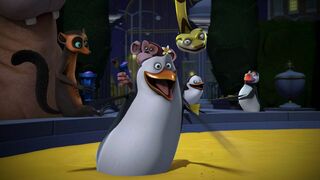 Les Pingouins de Madagascar - SAISON 2