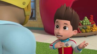 Paw Patrol, la Pat'Patrouille - SAISON 10