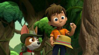 La Pat Patrouille - SAISON 7