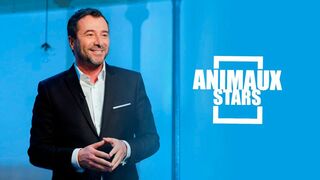 Animaux stars