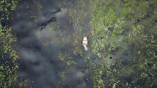 Des royaumes de terre et d'eau