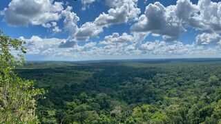 Les cités perdues de l'Amazonie