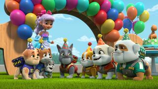 Ruben & Cie - SAISON 2