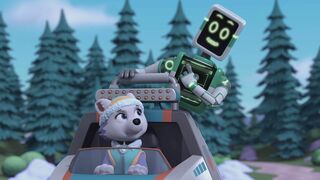 Paw Patrol, la Pat'Patrouille - SAISON 10