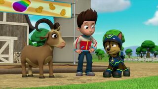 La Pat Patrouille - SAISON 7