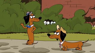 Bienvenue chez les Casagrandes - SAISON 2