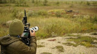 Vétérinaires de l'Arctique