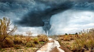 La science des forces de la nature