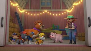 Ruben & Cie - SAISON 2