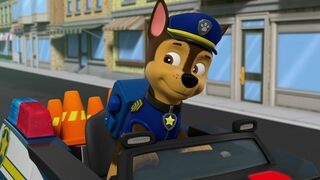 La Pat Patrouille - SAISON 8