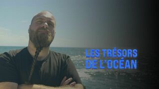 Les trésors de l'océan