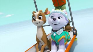 La Pat Patrouille - SAISON 2