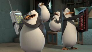 Les Pingouins de Madagascar - SAISON 2