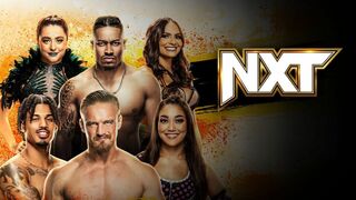 Catch américain NXT