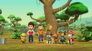 La Pat Patrouille - SAISON 3