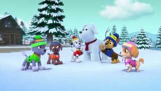 La Pat Patrouille - SAISON 3