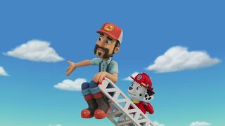 Des chèvres en danger / Mystère dans le champ de maïs