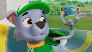 Paw Patrol, la Pat'Patrouille - SAISON 11