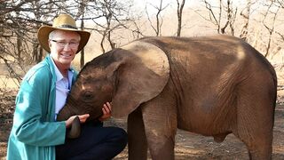 Paul O'Grady : l'aventure des grands éléphants