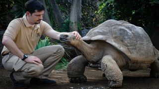 Animaux & Cie : une seconde chance