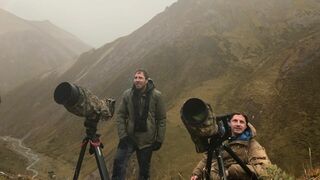 Sur les traces de la panthère des neiges