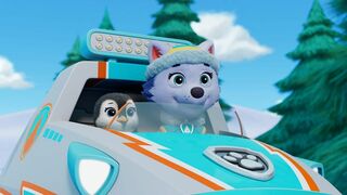 Paw Patrol, la Pat'Patrouille - SAISON 11