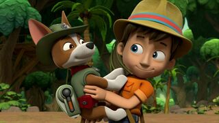 Paw Patrol, la Pat'Patrouille - SAISON 9