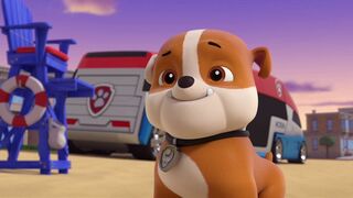 Paw Patrol, la Pat'Patrouille - SAISON 9
