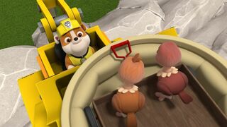 Paw Patrol, la Pat'Patrouille - SAISON 9
