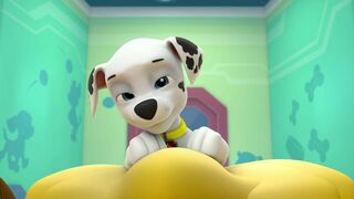 La Pat Patrouille - SAISON 4